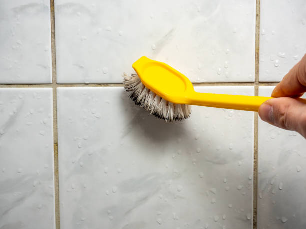 Best Local Mold Removal Service  in Alto, GA