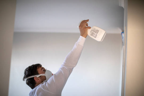 Best Fast Mold Removal  in Alto, GA